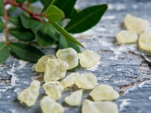 mastixa-pandoras-kitchen-blog-greece