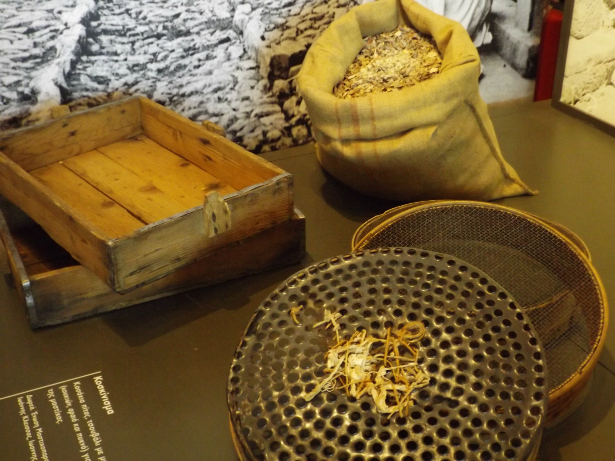 pandoras-kitchen-blog-greece-chios-mastic