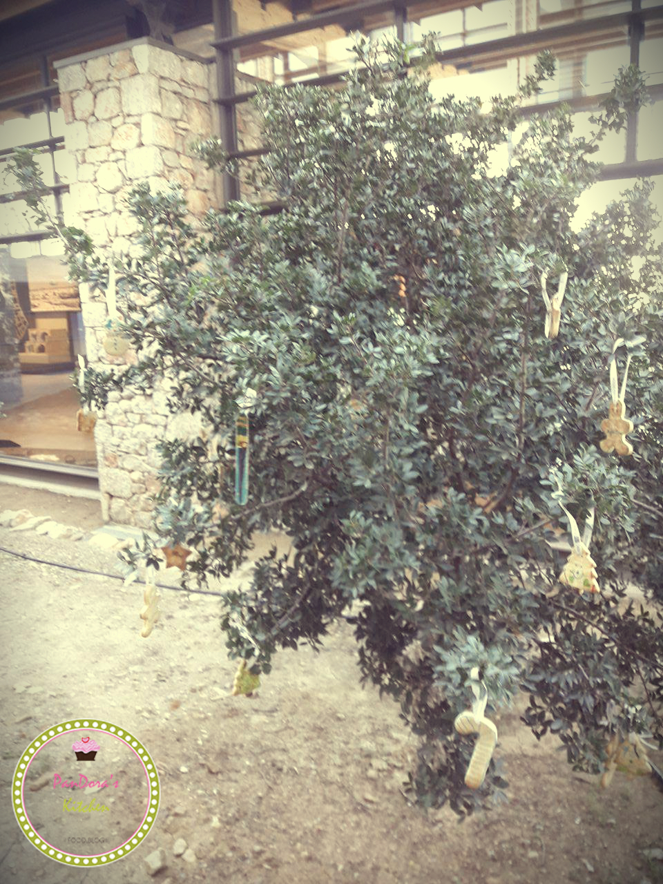 pandoras-kitchen-blog-greece-chios-museum-mastiha-xmas