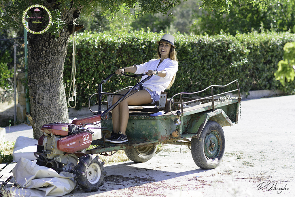 aloevera-aloe-kampos-pandora-farm