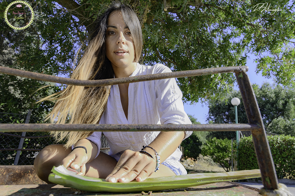 aloe vera-aloe-chios-natuevo-kampos-chios