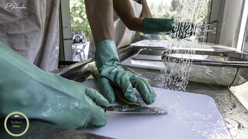 aloe vera-chios-natuevo-pandora