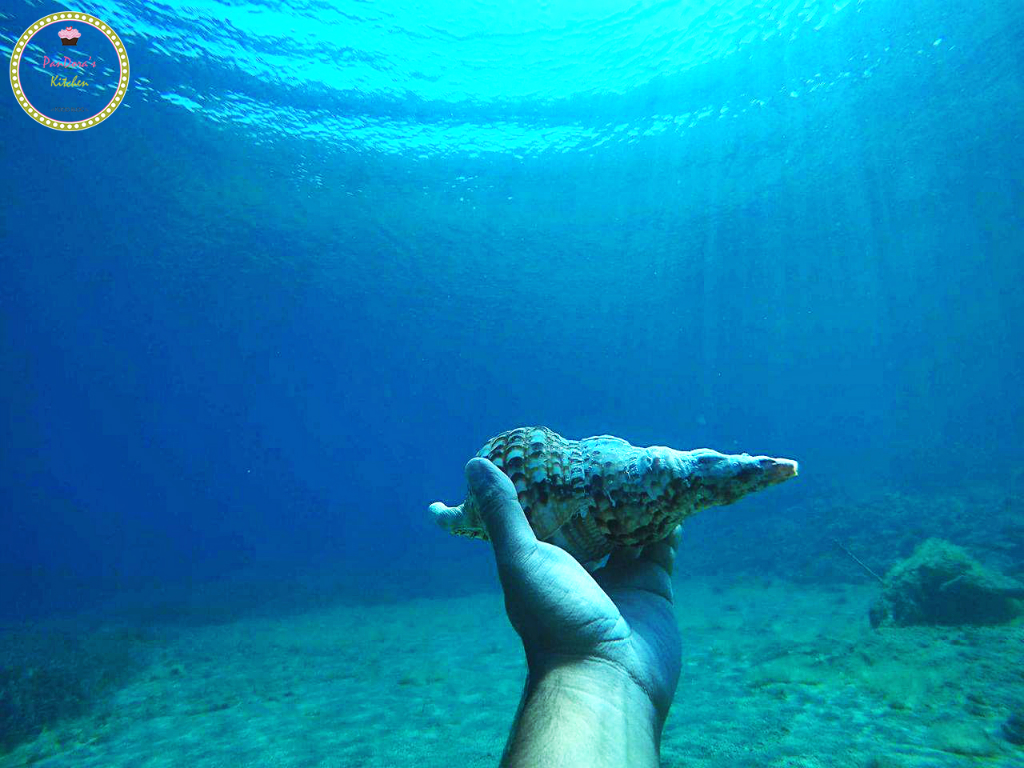 traxilia-beach-chios-under water