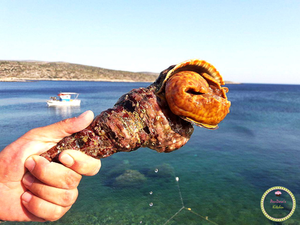 μπουρού-οι ψαράδες των μεστών-θαλασσινά-τραχήλια-χίος