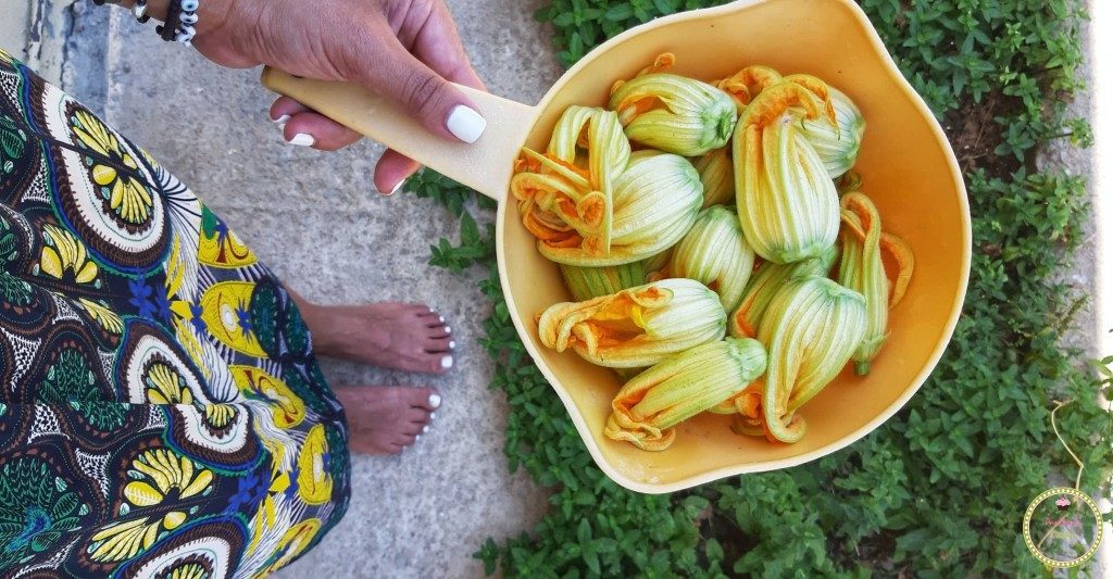 zucchini_flower-zucchini-greek_food